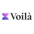 Voils AI