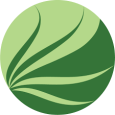 Wholeleafaloe