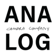 Analog