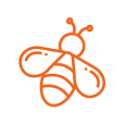 Everbee