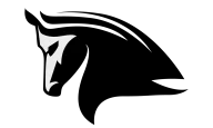 The Stampede Network